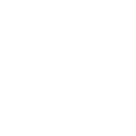 fluent_form