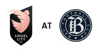 ACFCatBAYFC_Horizontal_Black