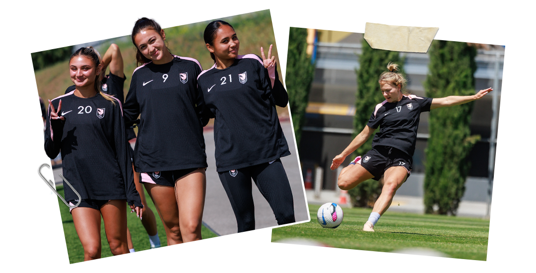 RENEWALS_TRAINING_v2