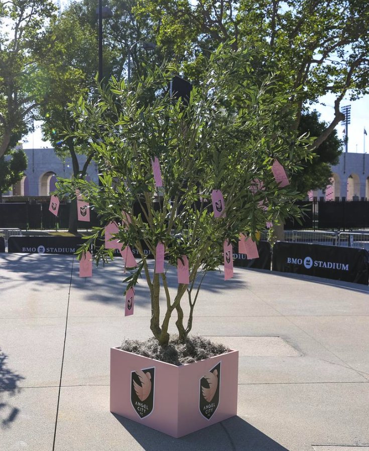Wishing Tree with pink Angel City FC notes hanging from its branches