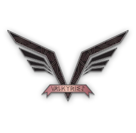 Angel City Valkyries