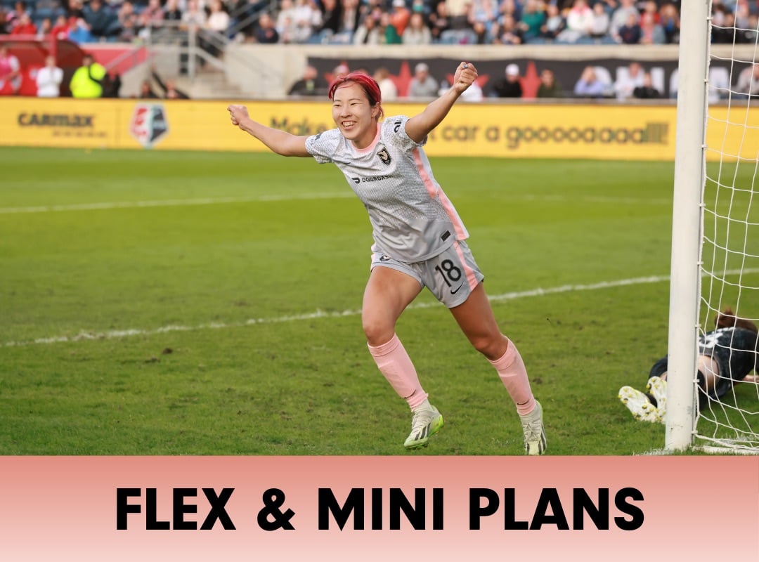 Flex Mini Plans