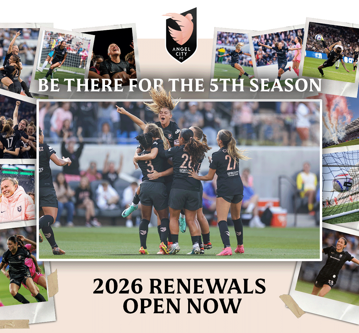 STM25_RenewalLaunch-Email_Header_1200pxwidth
